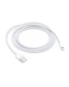 Apple Lightning auf USB Kabel 2m (MD819ZM/A)