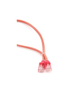 CableXpert Patch Cord Cat.5e UTP 0.25m -U/UTP (UTP) - RJ-45 - Rouge PP12-0