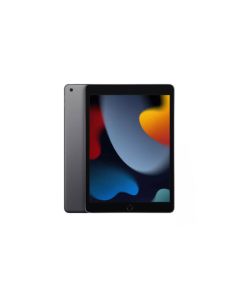 Apple iPad 10.2 256GB 9th Gen. (2021) WIFI gris métallisé DE - MK2N3FD/A