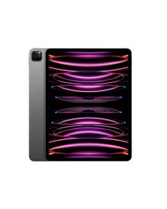 Apple iPad Pro 256GB 12.9 Wi-Fi Space Gray 6th Generation MNXR3FD/A