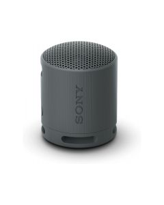 Sony Enceinte portable sans fil Noir BT SRSXB100B.CE7
