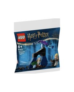 LEGO Harry Potter - Draco dans la forêt interdite (30677)