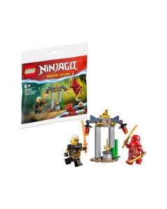 LEGO Ninjago - Kai and Rapton\'s Duel in the Temple (30650)