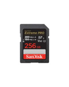 SanDisk Extreme PRO SDXC 256GB Class10  SDSDXEP-256G-GN