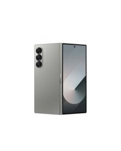 Samsung Galaxy Z Fold6 5G 256Go Argent Ombre (SM-F956BZSBEUB)