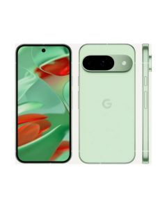 Google Pixel 9 12Go RAM 256Go Smartphone Vert hiver (GA05844-GB)